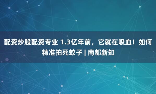 配资炒股配资专业 1.3亿年前，它就在吸血！如何精准拍死蚊子 | 南都新知